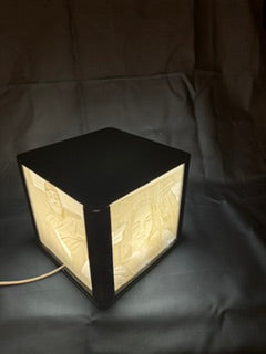 3d printed Lithophane box with light
